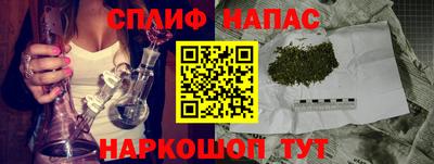 гидра Заводоуковск