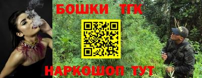 гидра Заводоуковск
