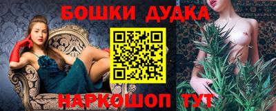 гидра Заводоуковск