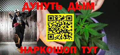 гидра Заводоуковск