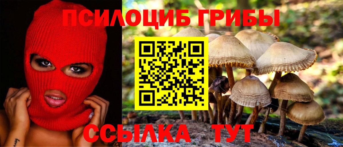 Коряжма  Галлюциногенные грибы Cubensis  Псилоцибиновые грибы прущие грибы  Вход с VPN 