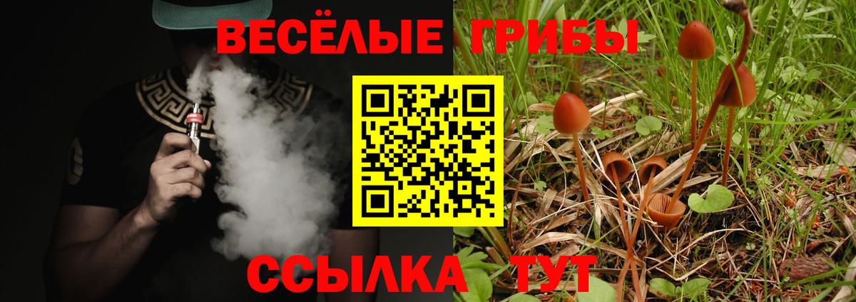 Псилоцибиновые грибы Cubensis Коряжма