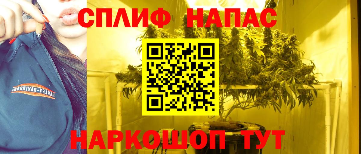 Коряжма  Конопля VHQ  Марихуана марихуана  Вход с VPN 